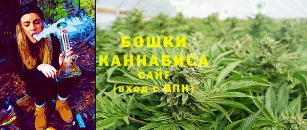МДПВ Вязьма