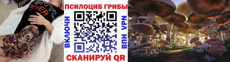 Галлюциногенные грибы Magic Shrooms  Яхрома 